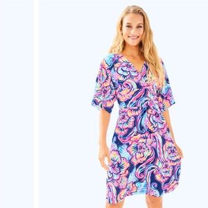 🎁 Lilly Pulitzer PARIGI DRESS